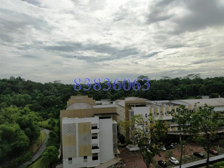 Blk 450 Bukit Panjang Ring Road (Bukit Panjang), HDB 5 Rooms #163615042